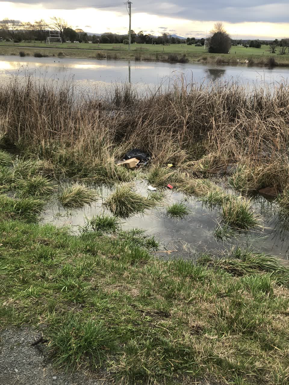 The photograph attached to this rubbish/recycling report