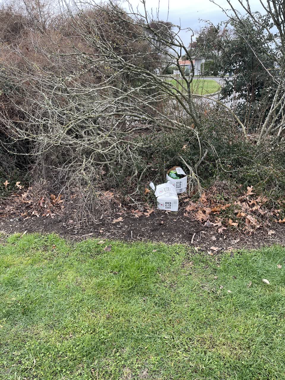 The photograph attached to this rubbish/recycling report