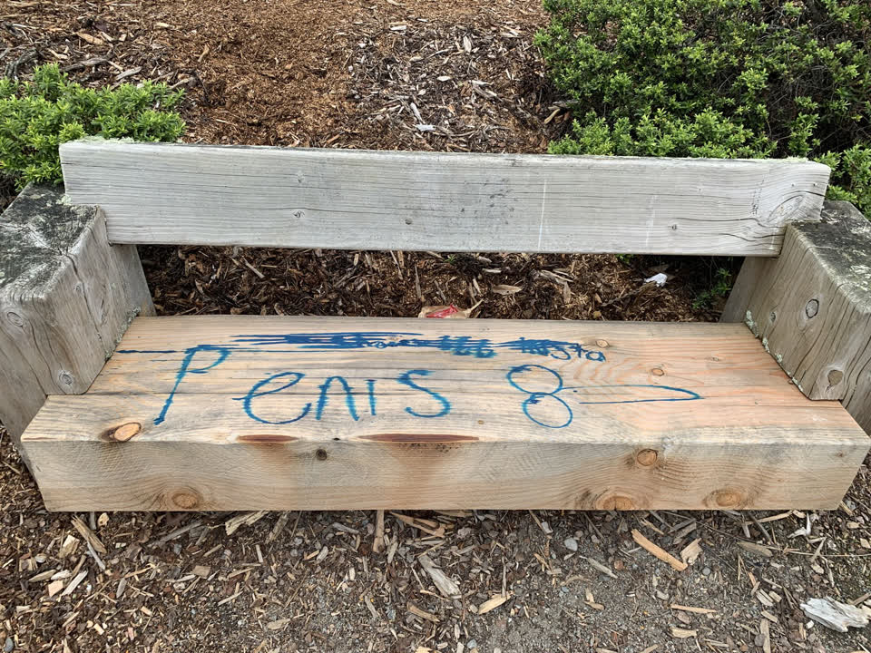 The photograph attached to this graffiti report