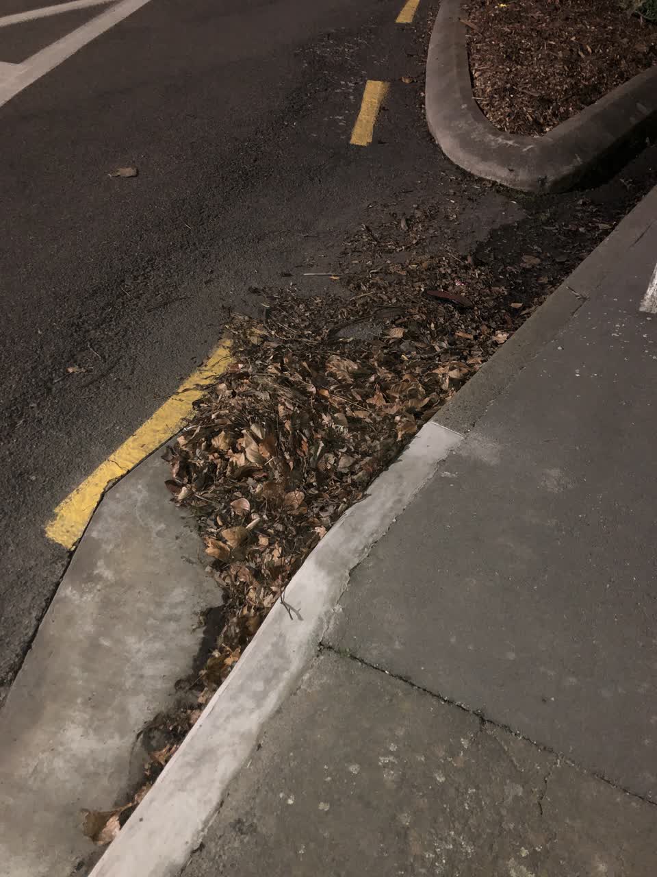 The photograph attached to this wastewater/stormwater report