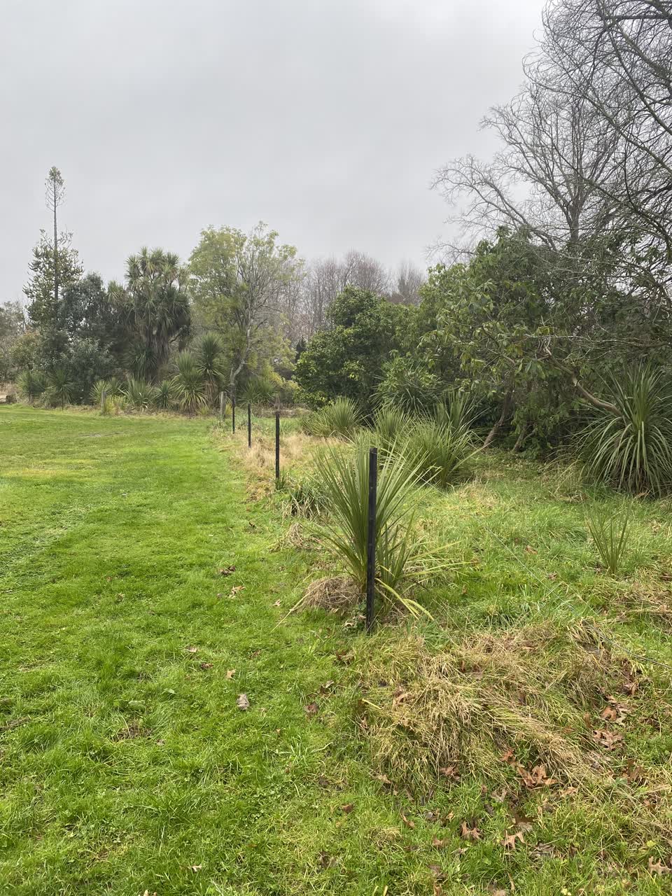 The photograph attached to this parks report