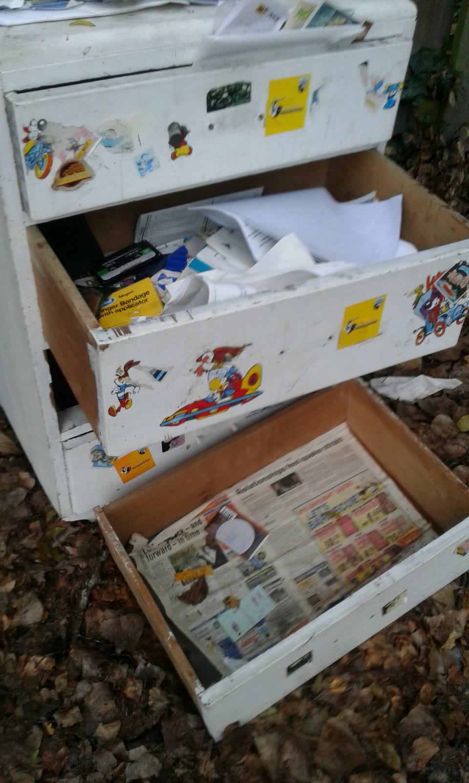 The photograph attached to this parks report