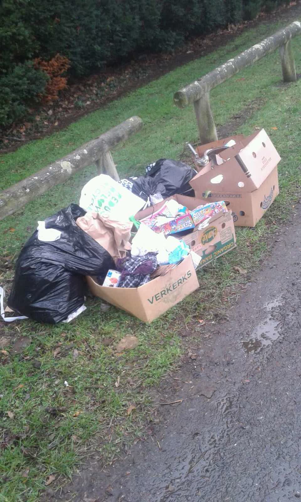 The photograph attached to this rubbish/recycling report