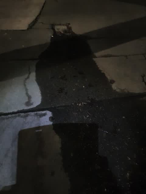 Water Leak, a report photo