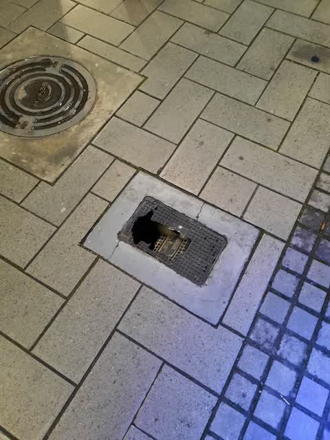 Roading/Streets, a report photo
