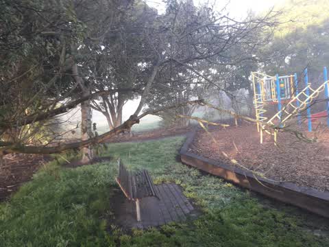 Parks, a report photo