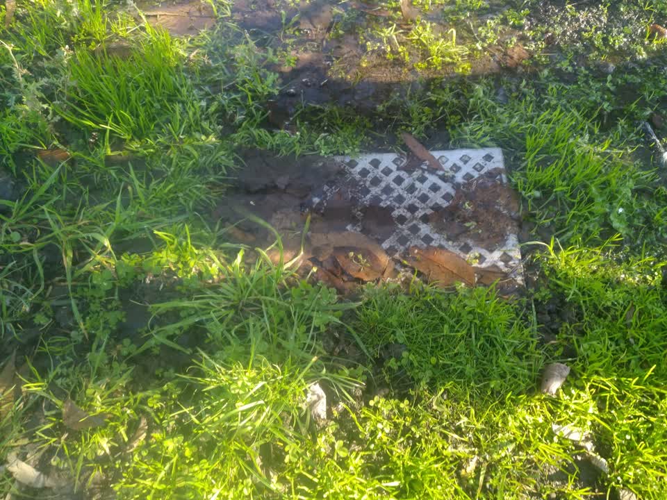 The photograph attached to this water supply report