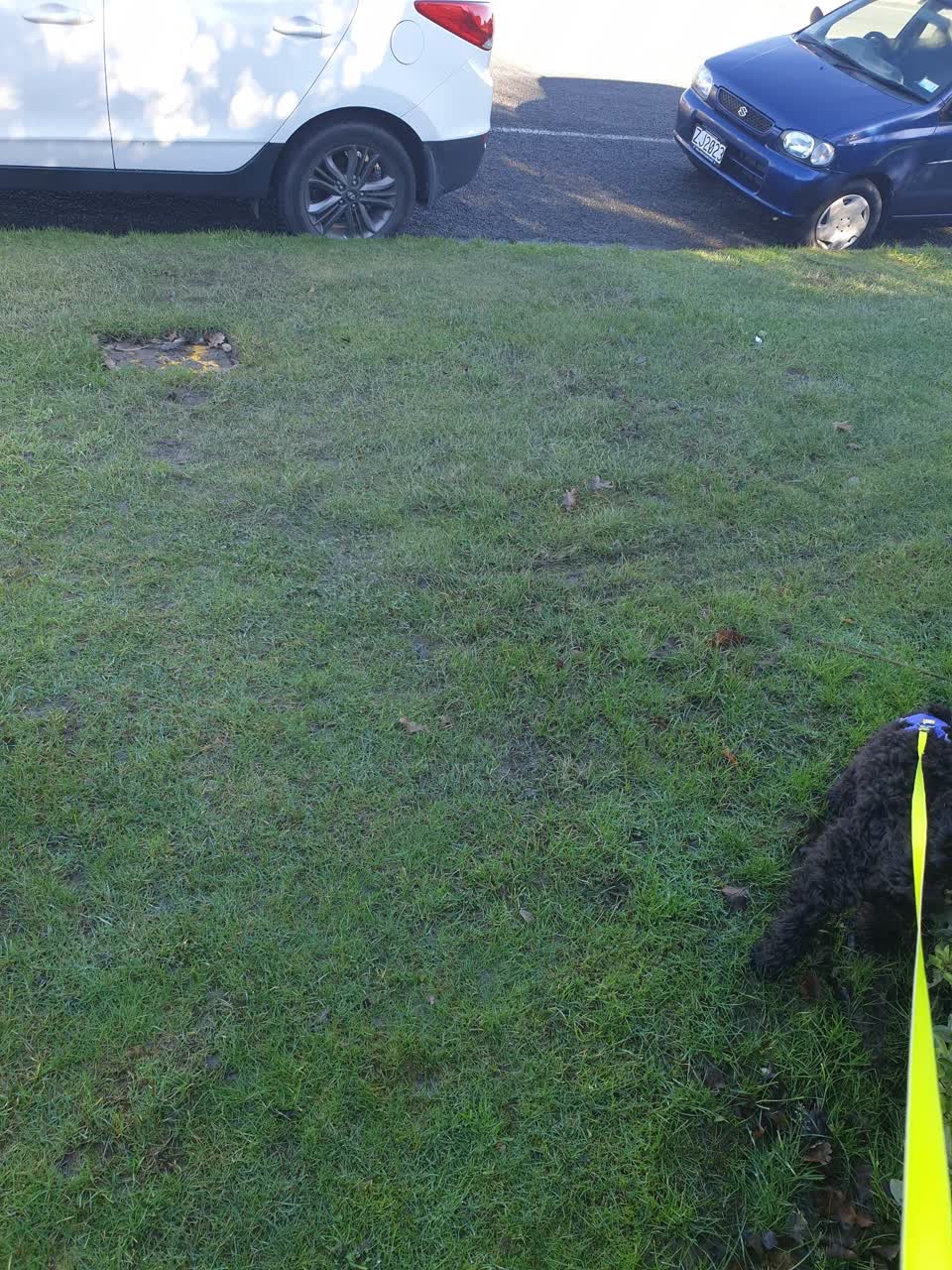The photograph attached to this water leak report