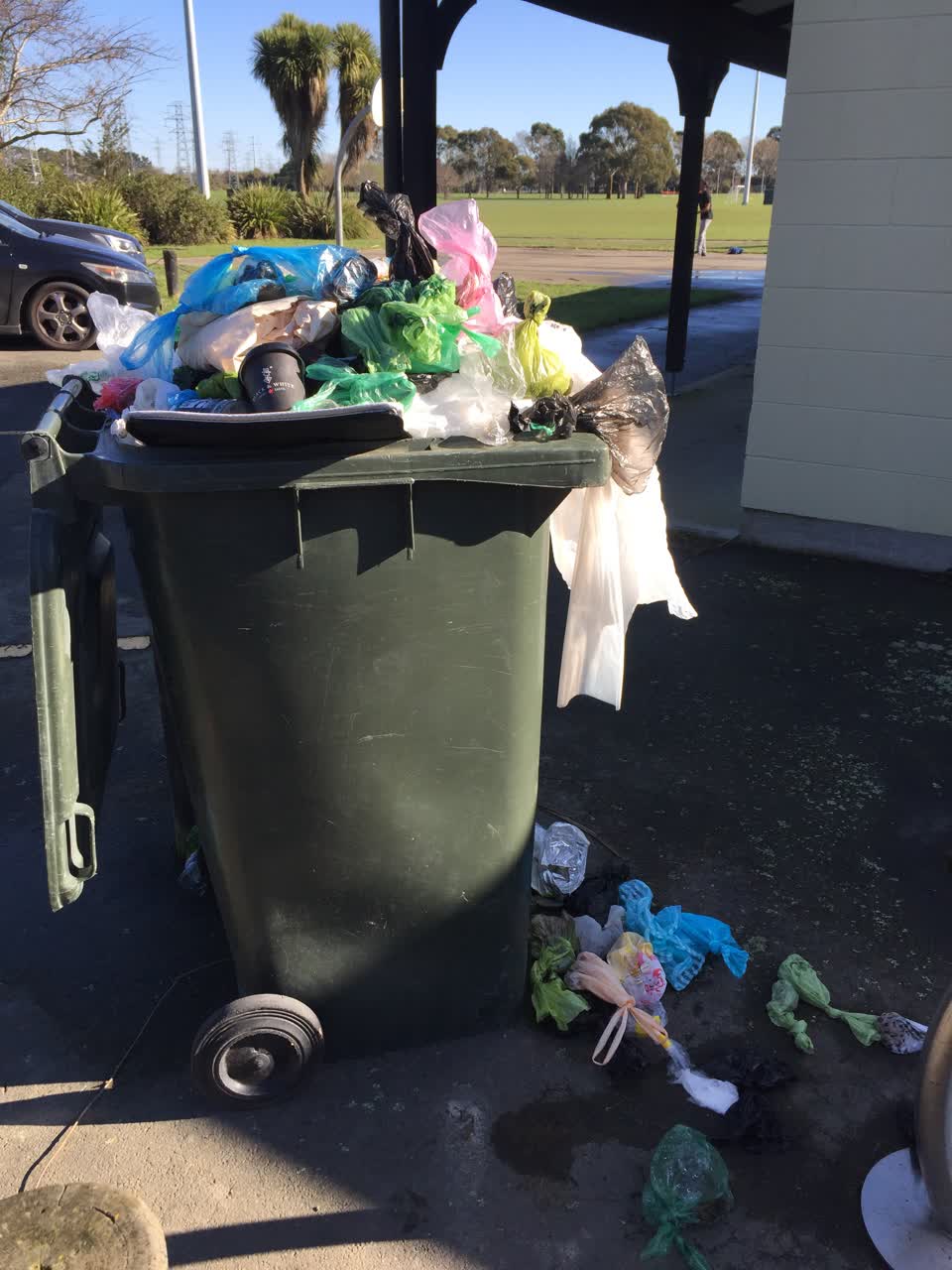 The photograph attached to this parks report