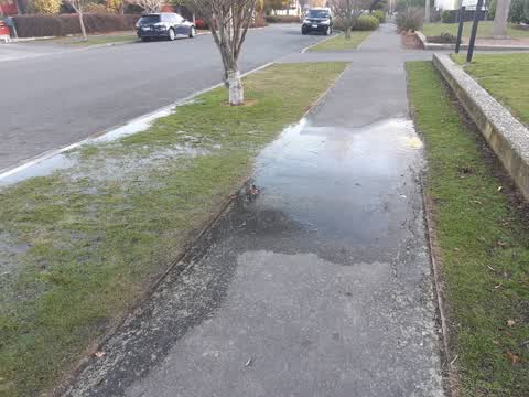 Water Leak, a report photo