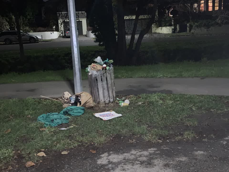 The photograph attached to this rubbish/recycling report