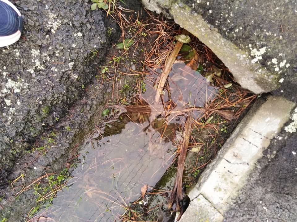 The photograph attached to this wastewater/stormwater report