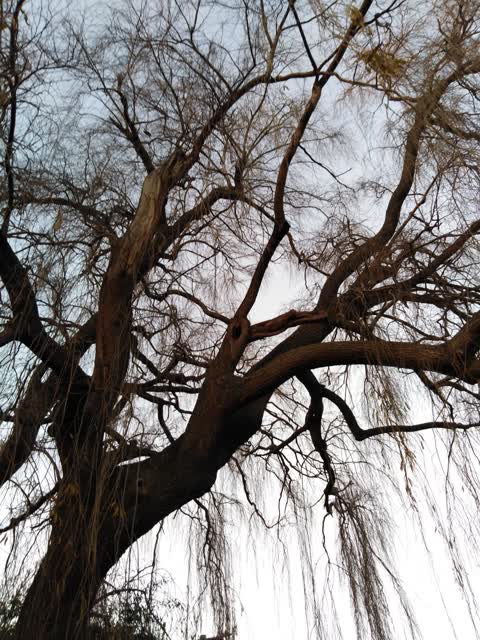 Roading/Streets, a report photo