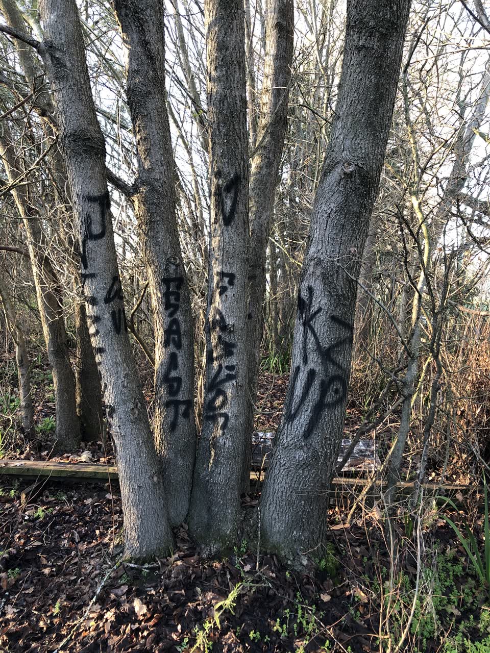 The photograph attached to this graffiti report