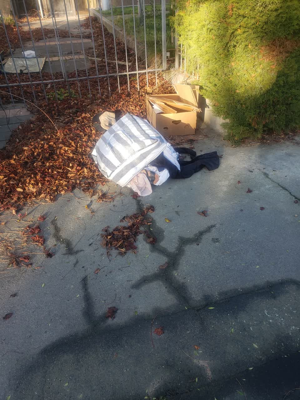 The photograph attached to this rubbish/recycling report