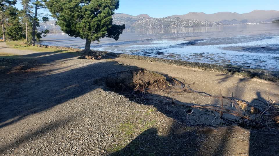 The photograph attached to this parks report