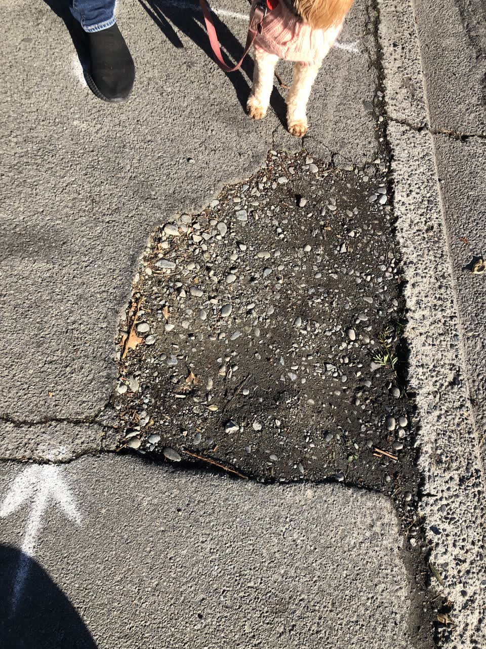 The photograph attached to this roading/streets report