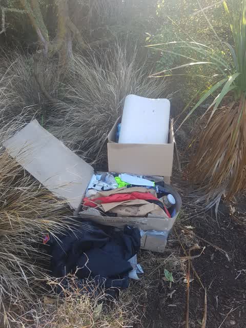 Rubbish/Recycling, a report photo