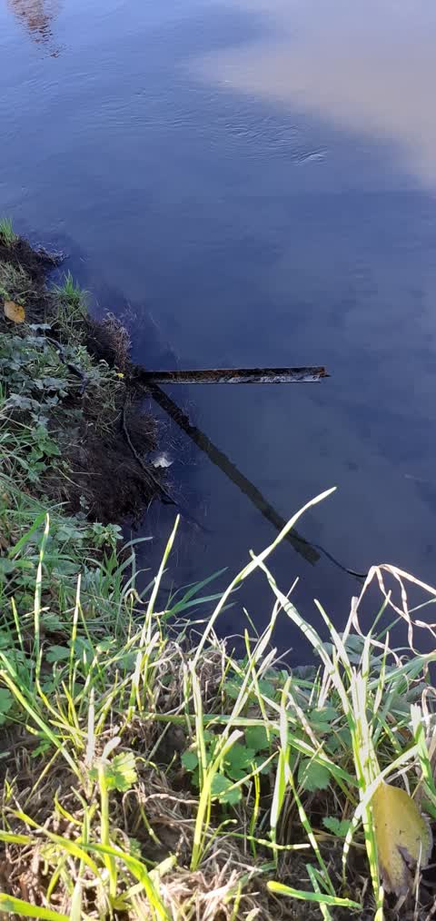 Rubbish/Recycling — a report photo