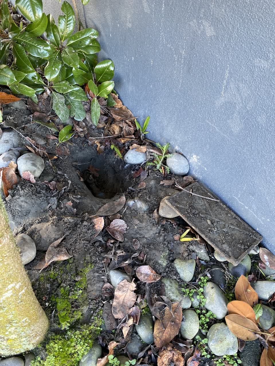 The photograph attached to this water supply report