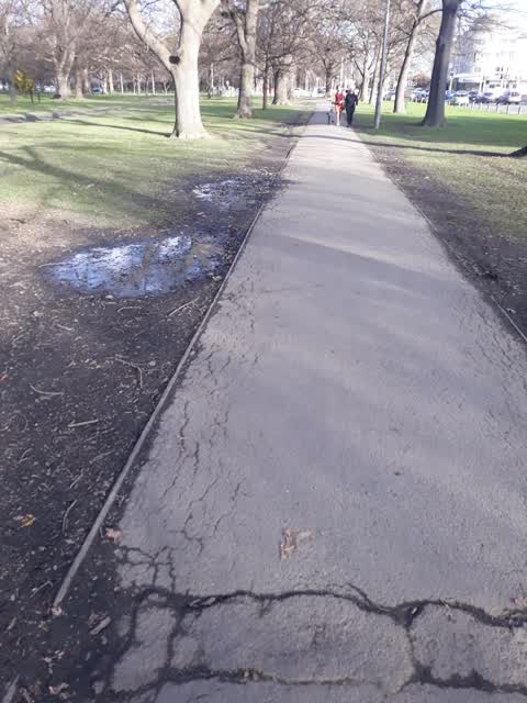 Parks, a report photo