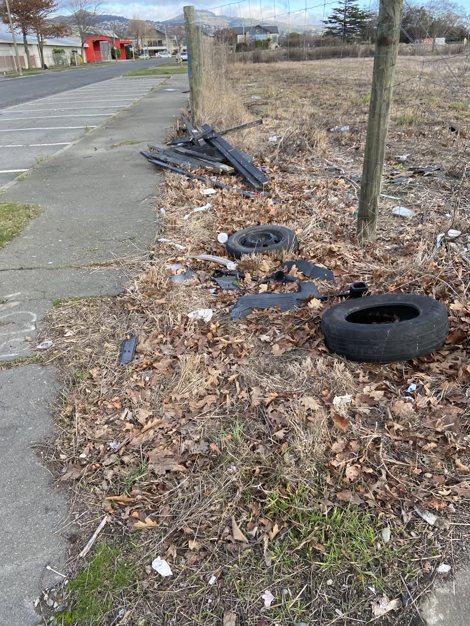 The photograph attached to this rubbish/recycling report