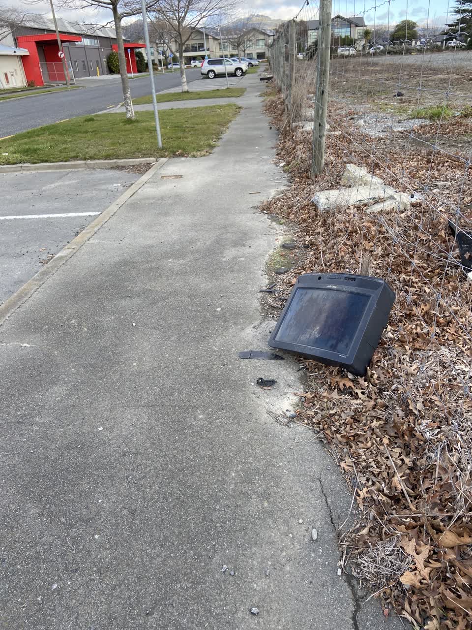 The photograph attached to this rubbish/recycling report
