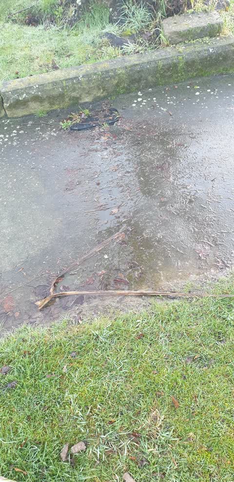 Water Leak — a report photo