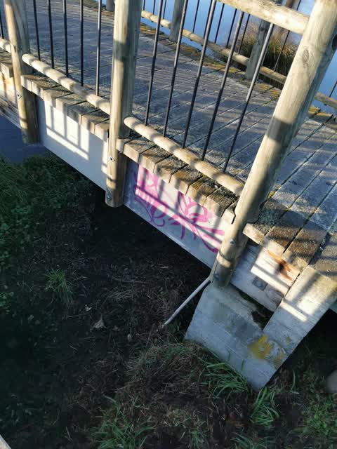 Graffiti, a report photo