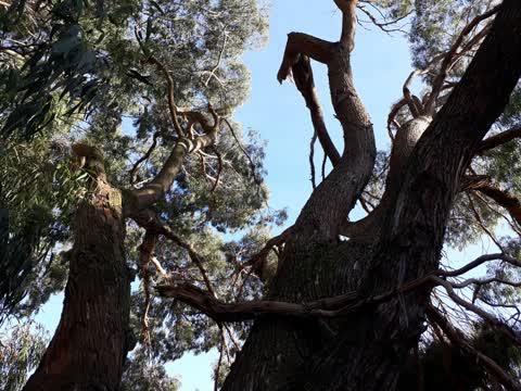 Parks, a report photo