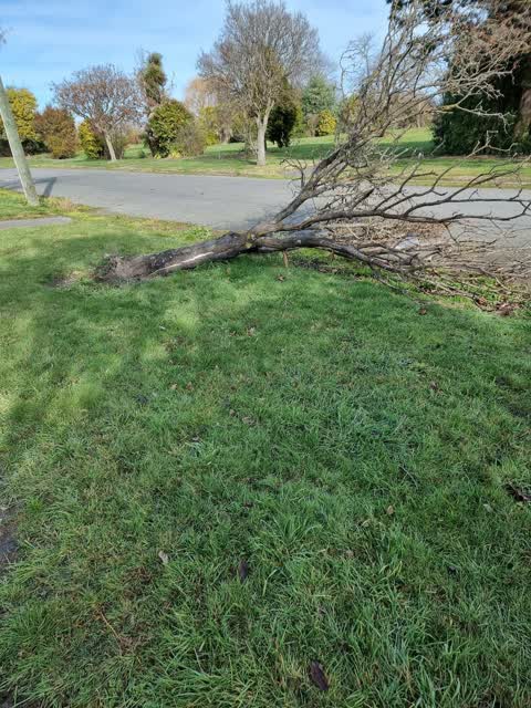 Parks, a report photo