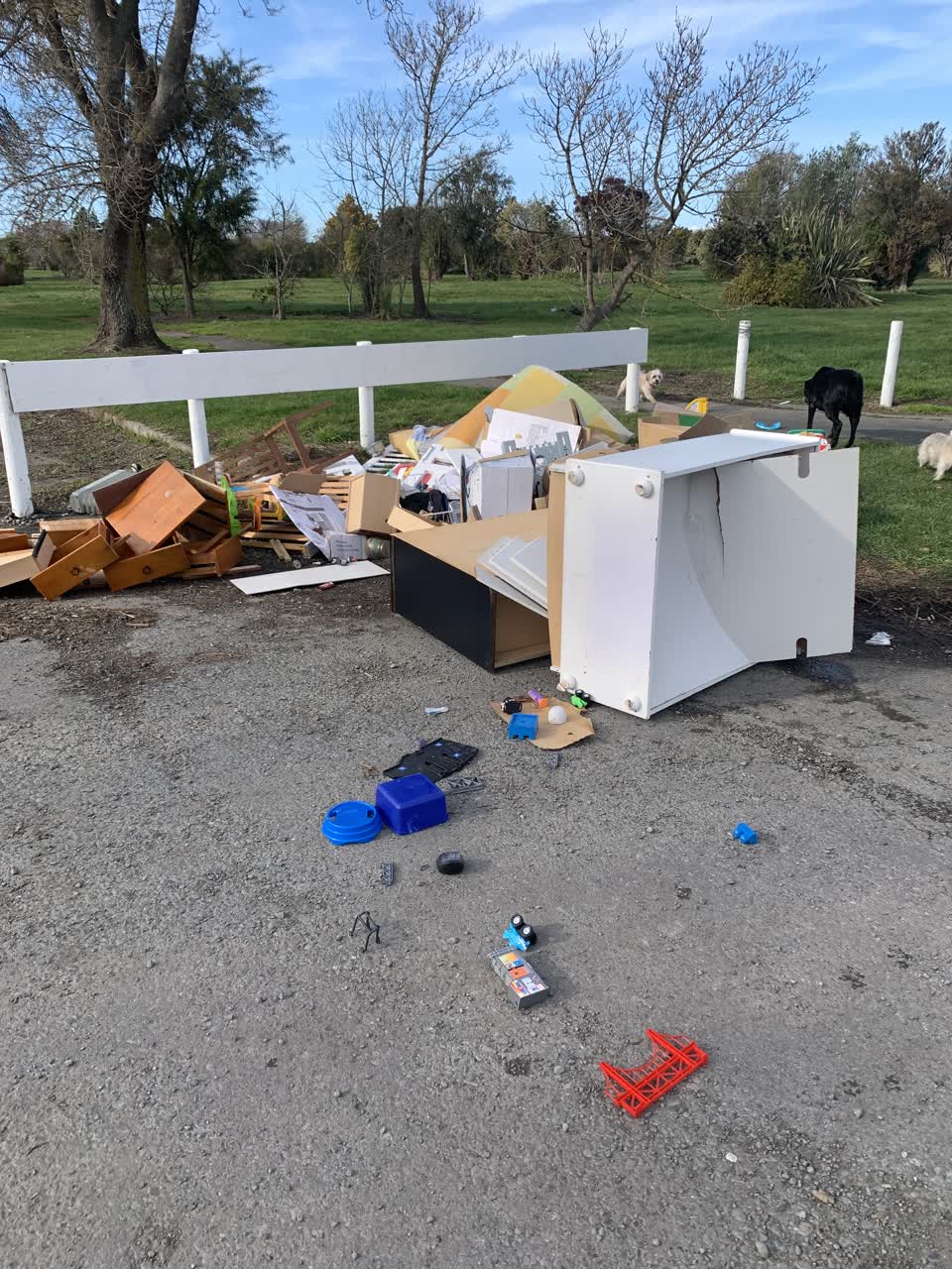 The photograph attached to this rubbish/recycling report