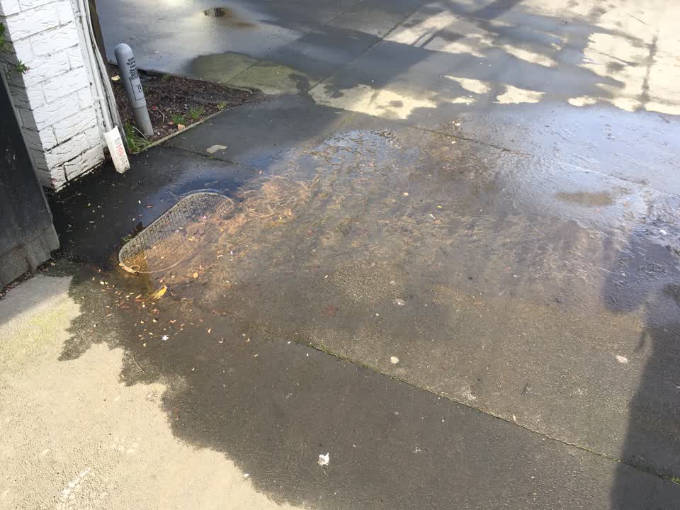 The photograph attached to this water leak report