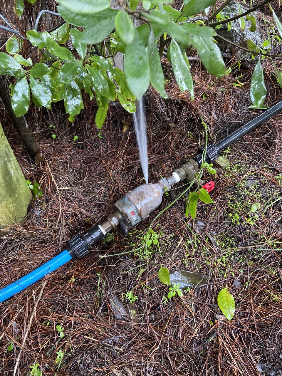 The photograph attached to this water leak report