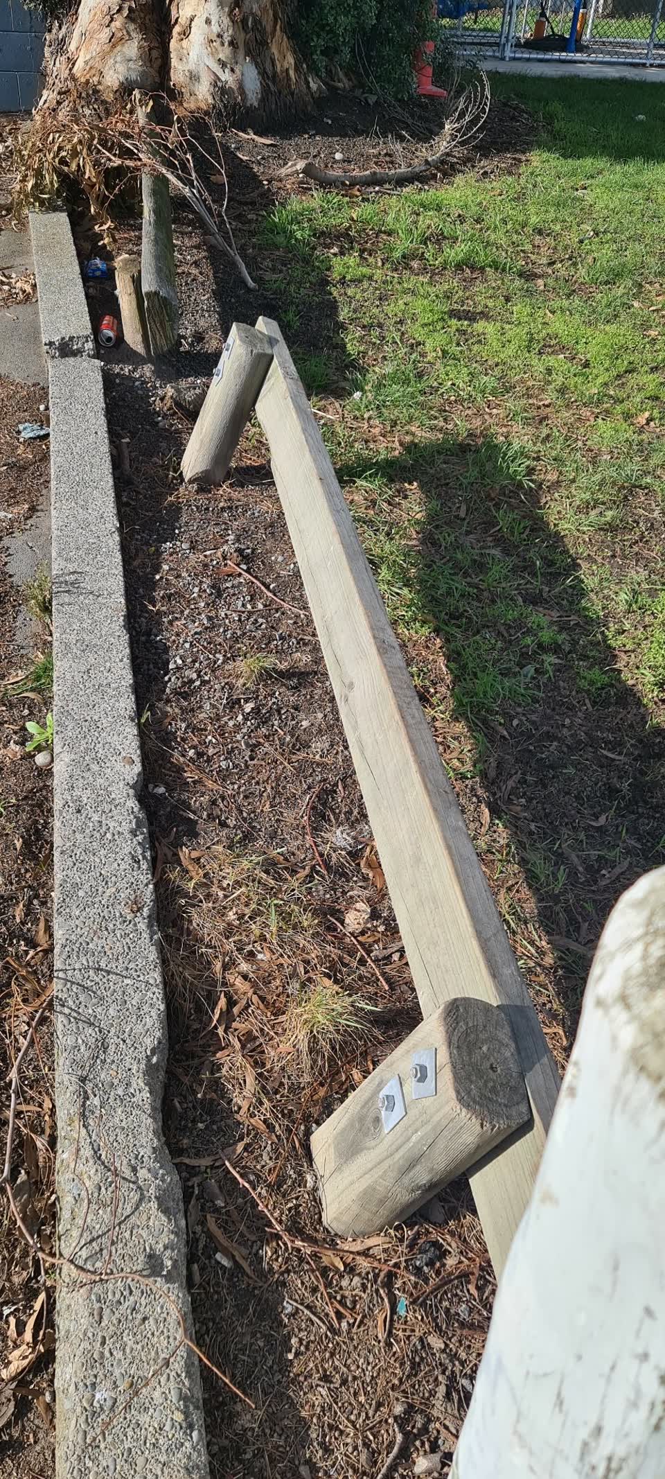 The photograph attached to this parks report
