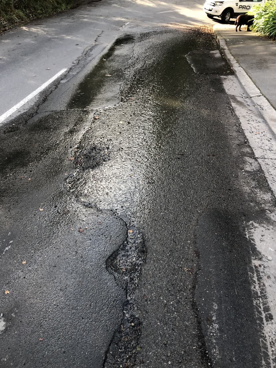 The photograph attached to this water leak report