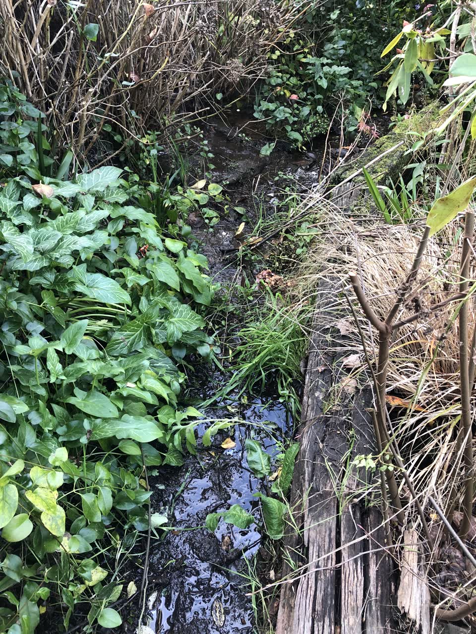 The photograph attached to this water leak report