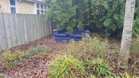 Rubbish/Recycling, a report photo