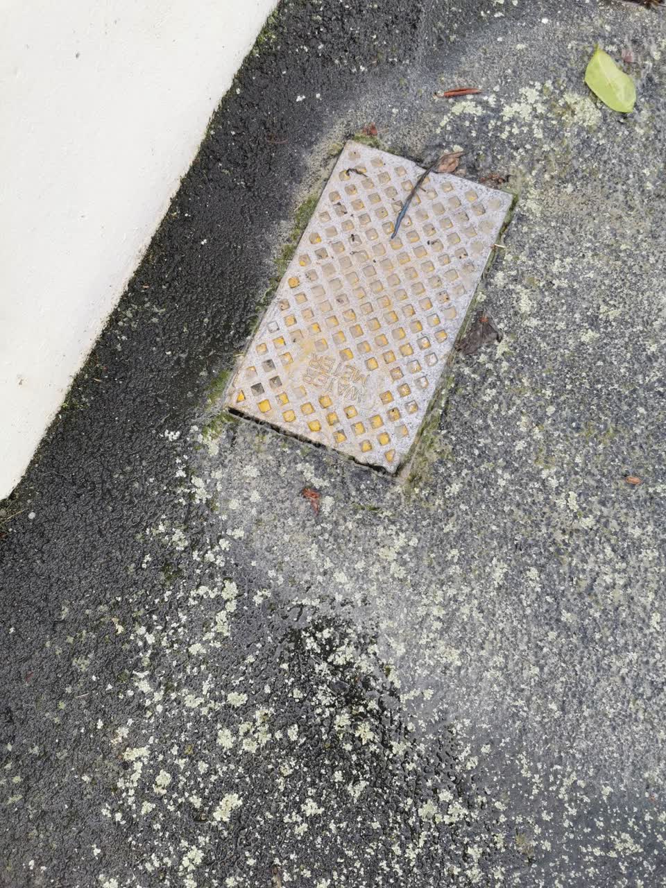 The photograph attached to this water leak report