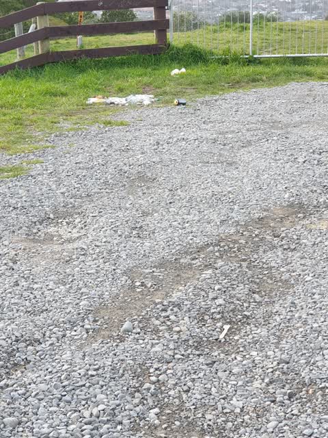 Rubbish/Recycling — a report photo
