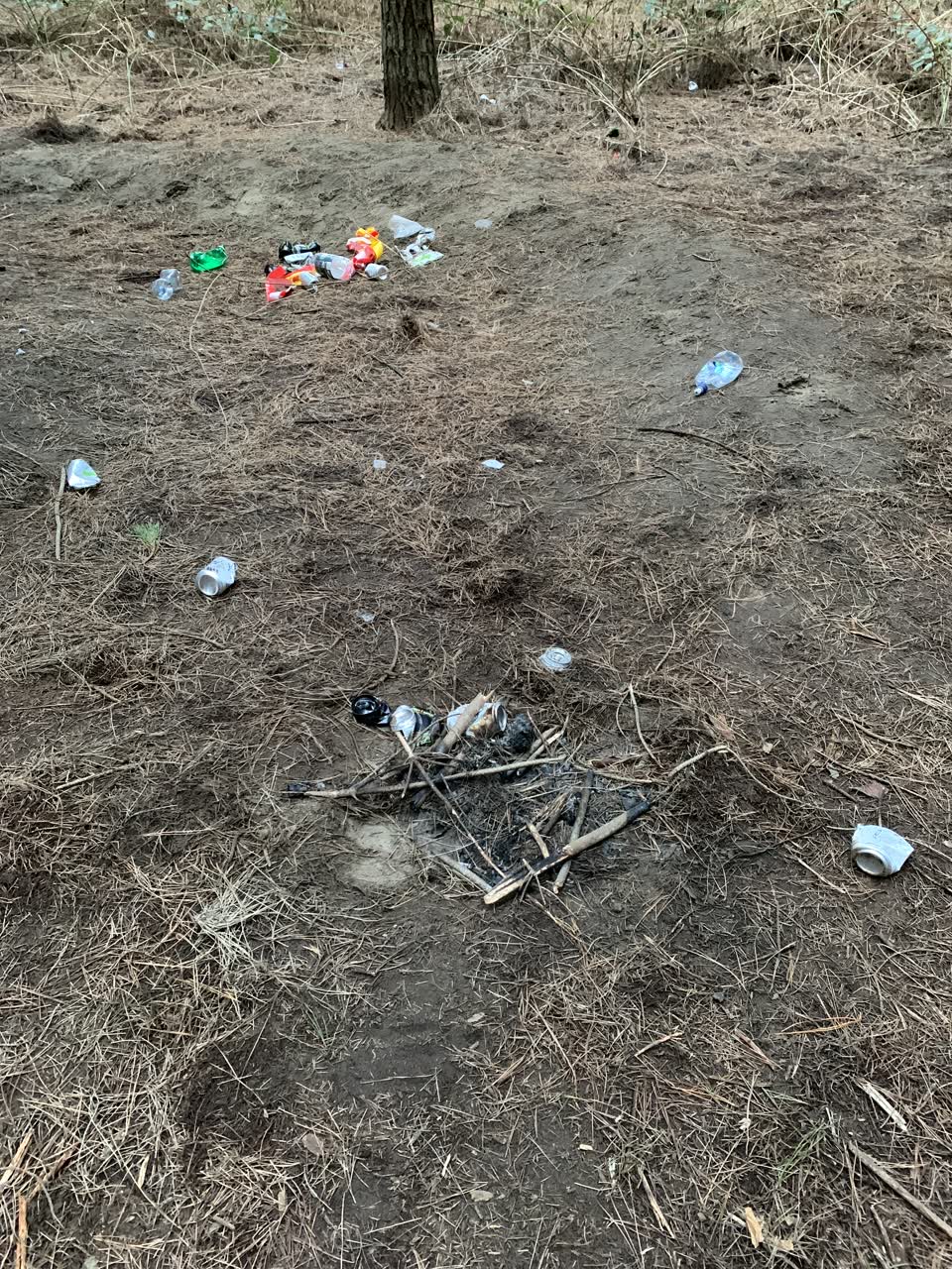 The photograph attached to this parks report