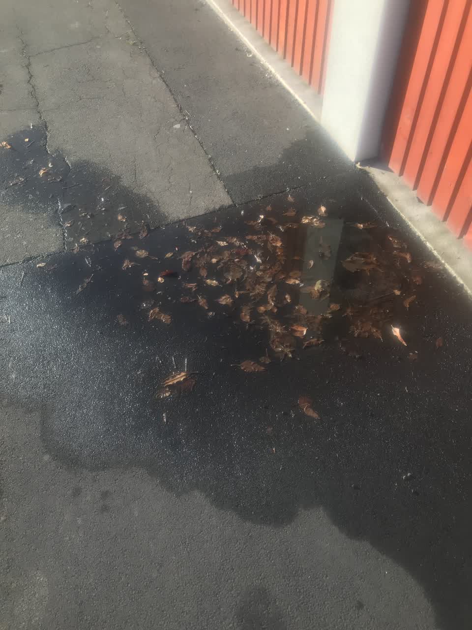 The photograph attached to this water leak report