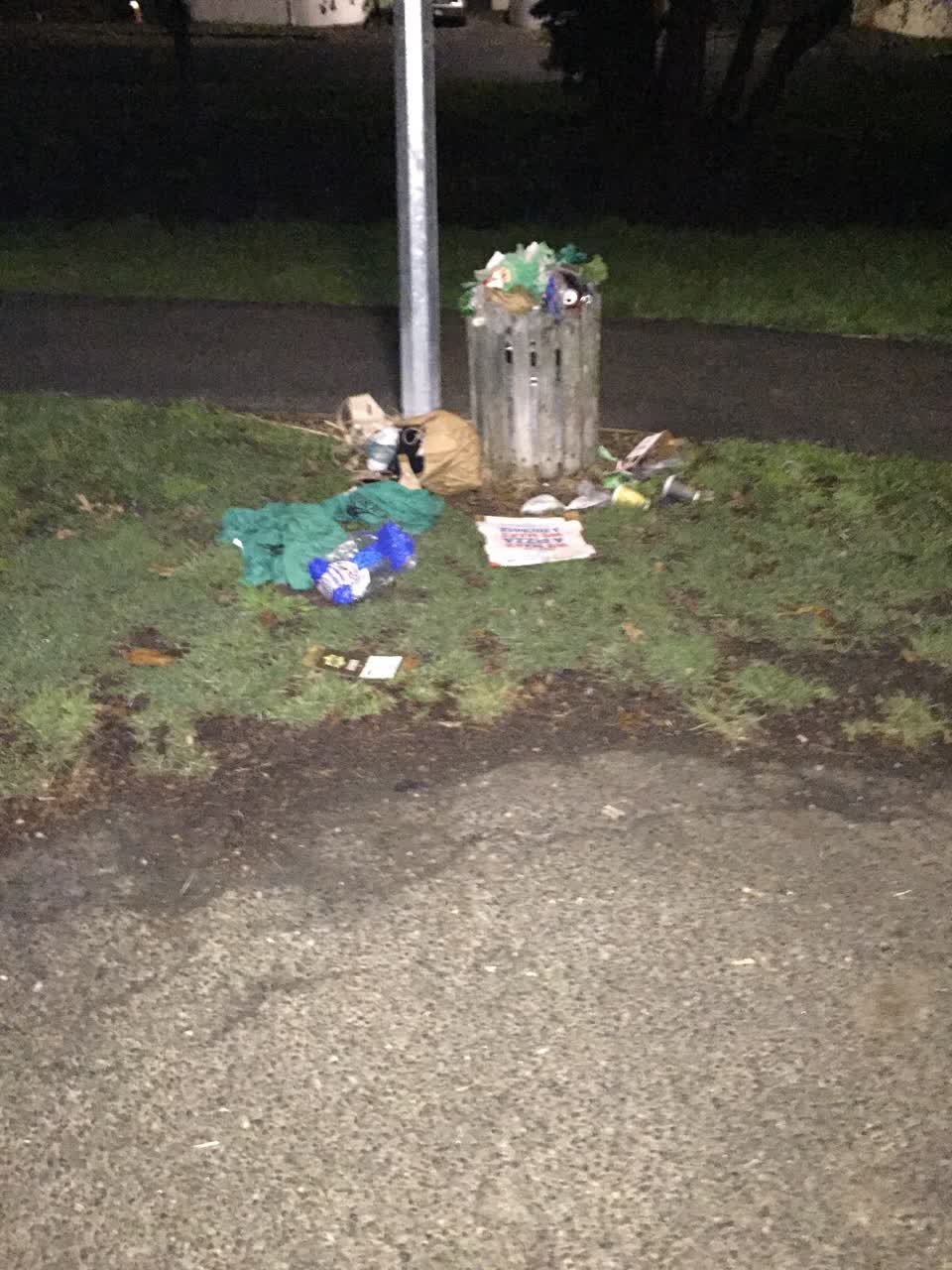 The photograph attached to this rubbish/recycling report