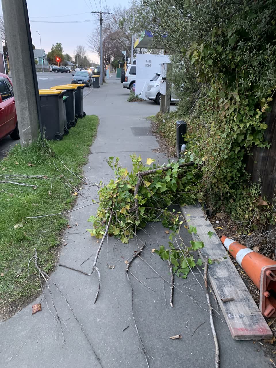 The photograph attached to this rubbish/recycling report