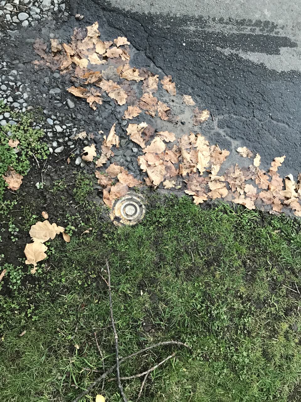 The photograph attached to this water leak report