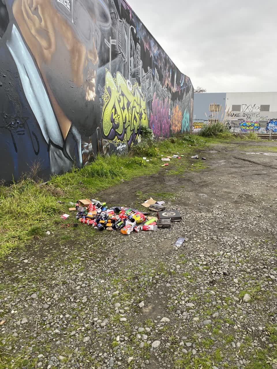 The photograph attached to this rubbish/recycling report