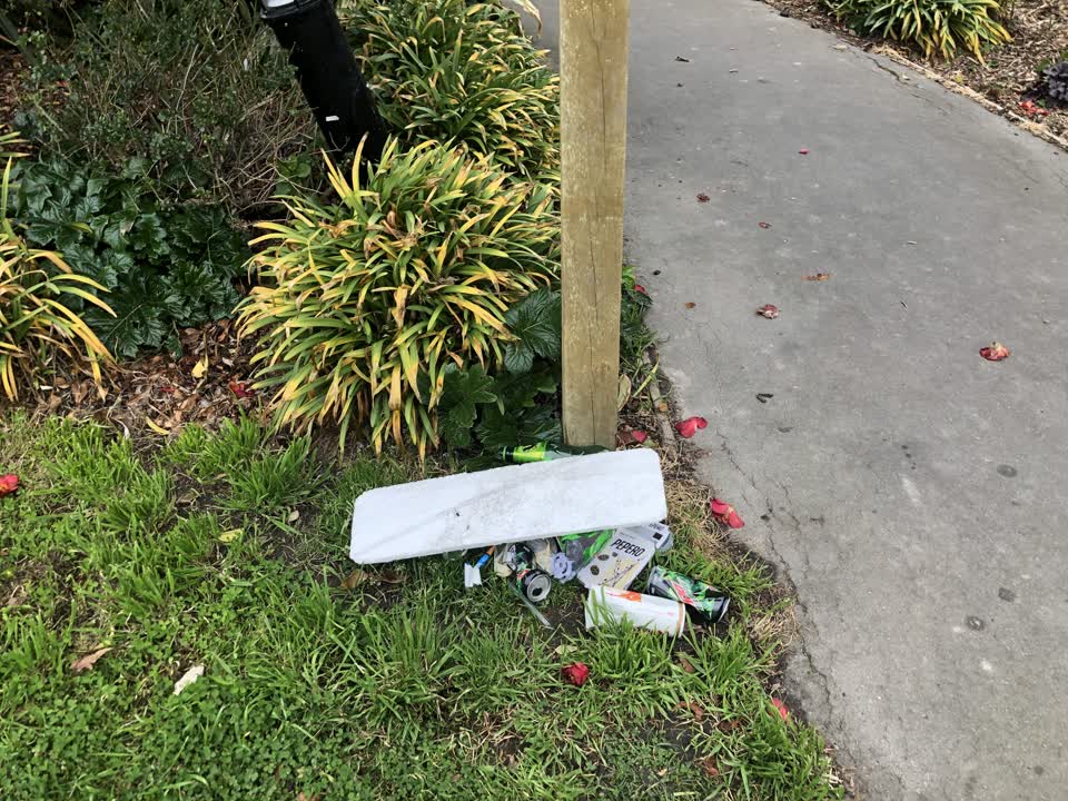 The photograph attached to this parks report