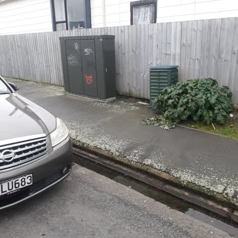 Graffiti, a report photo
