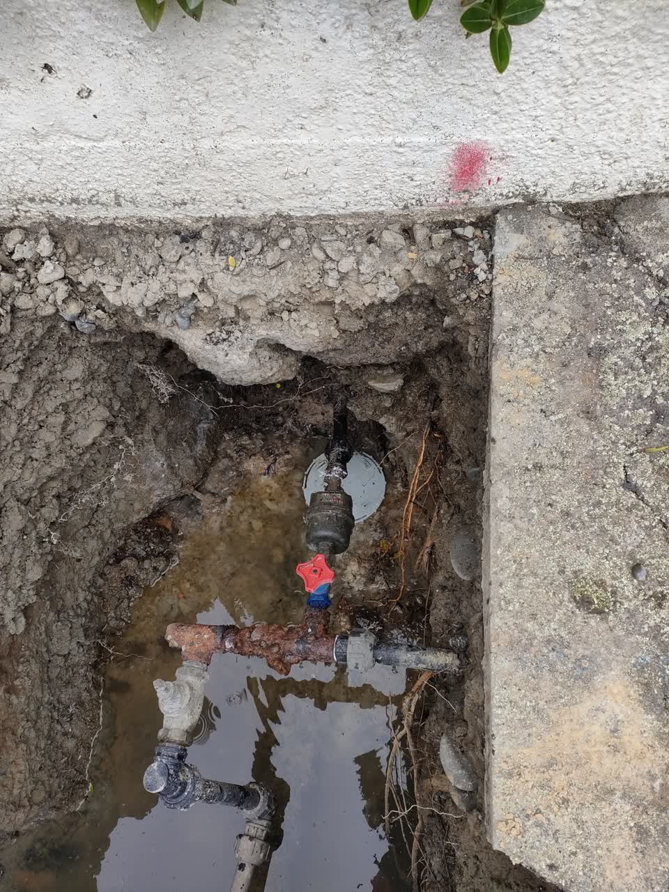 The photograph attached to this water leak report