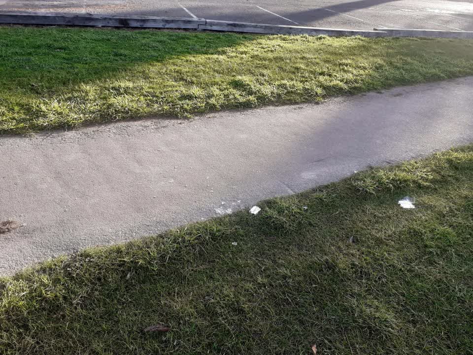The photograph attached to this parks report